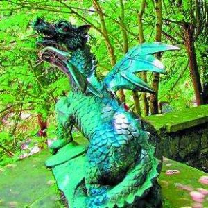 dragones-parque