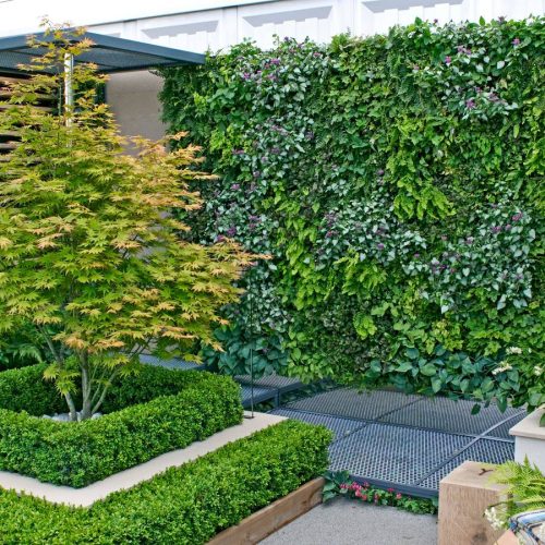 A small urban environmental Eco garden with a vertical living plant wall A small urban environmental Eco garden with a vertical living plant wall