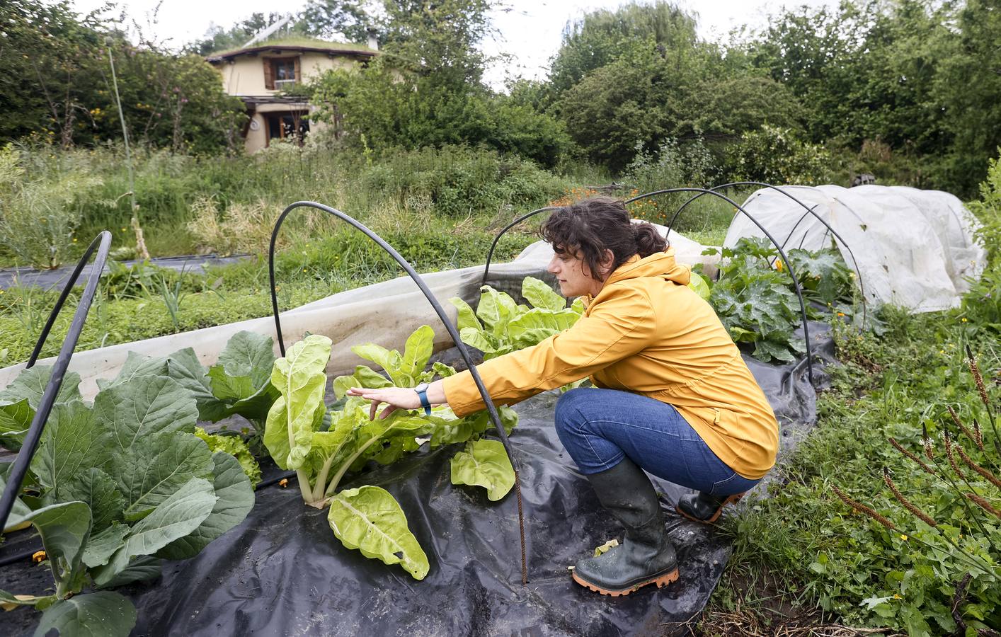 Practican una agricultura ecológica regenerativa.